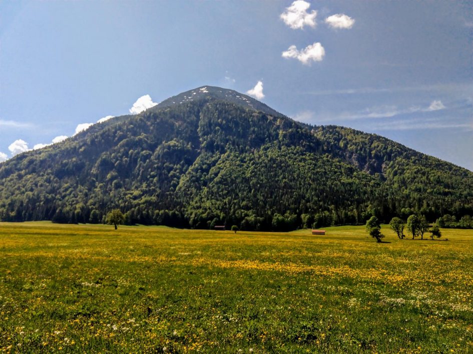 wallberg