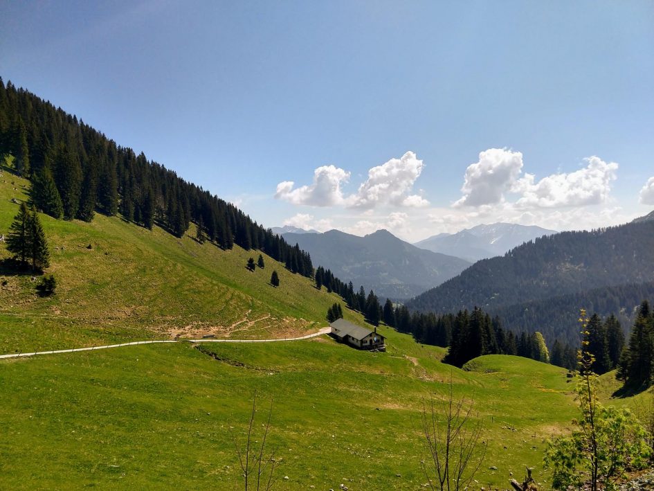 wallberg