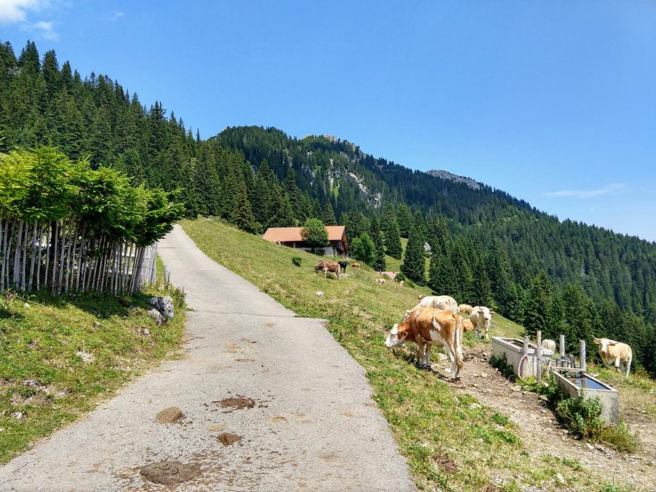 Soinhütte